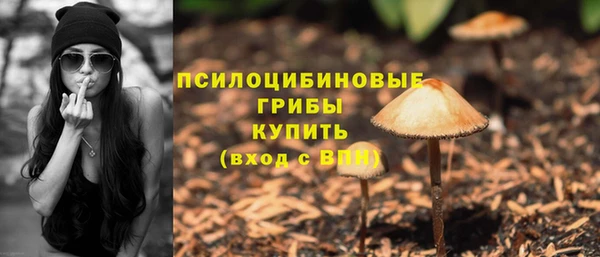 PSILOCYBIN Богородицк